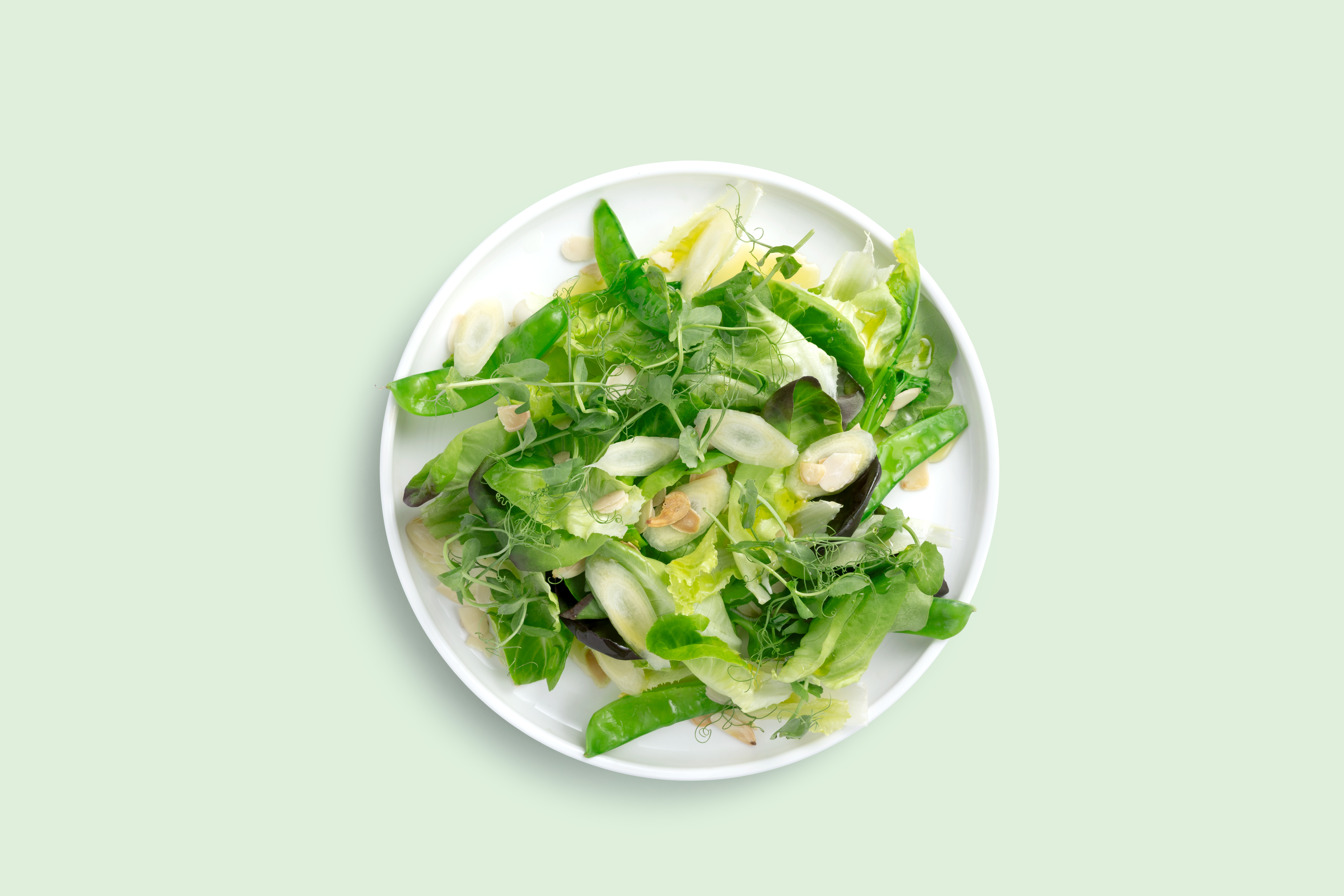 Green salad-Medium